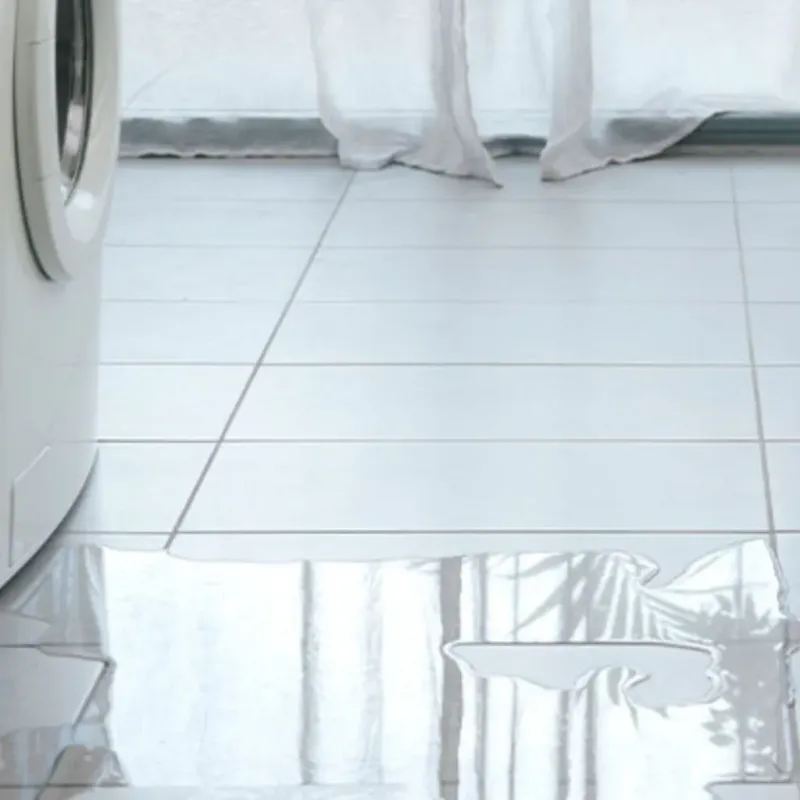 Appliance Leak Cleanup in Clay County, FL